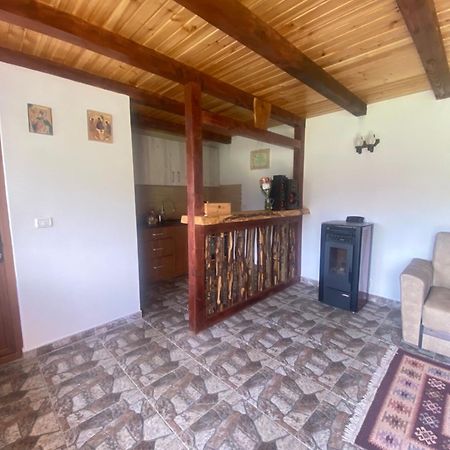 Casa Prundari Nicu Si Mirela Hotel Poiana Teiului ภายนอก รูปภาพ