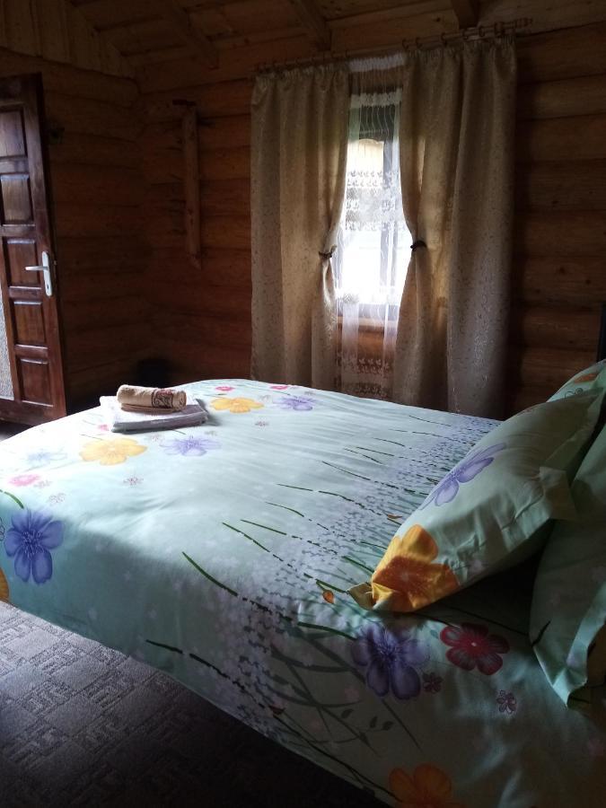 Casa Prundari Nicu Si Mirela Hotel Poiana Teiului ภายนอก รูปภาพ