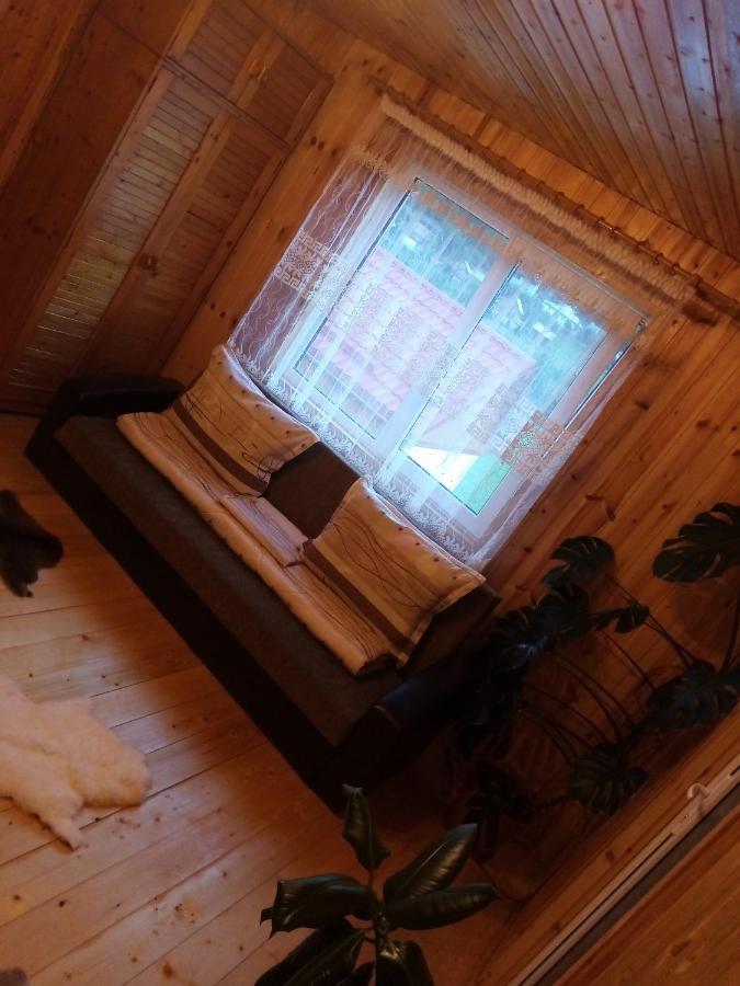 Casa Prundari Nicu Si Mirela Hotel Poiana Teiului ภายนอก รูปภาพ