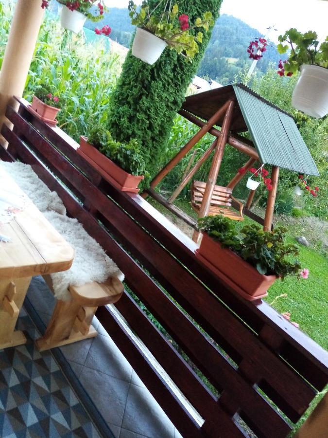 Casa Prundari Nicu Si Mirela Hotel Poiana Teiului ภายนอก รูปภาพ