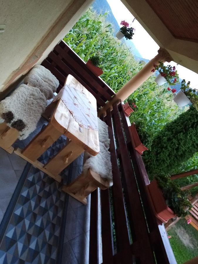 Casa Prundari Nicu Si Mirela Hotel Poiana Teiului ภายนอก รูปภาพ