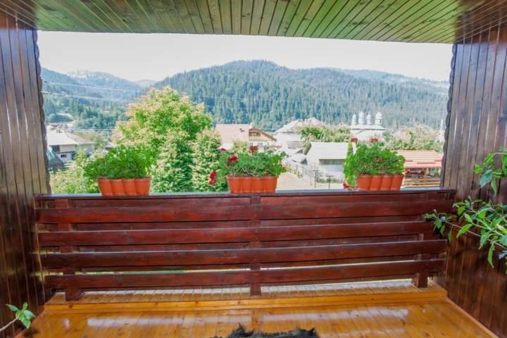 Casa Prundari Nicu Si Mirela Hotel Poiana Teiului ภายนอก รูปภาพ