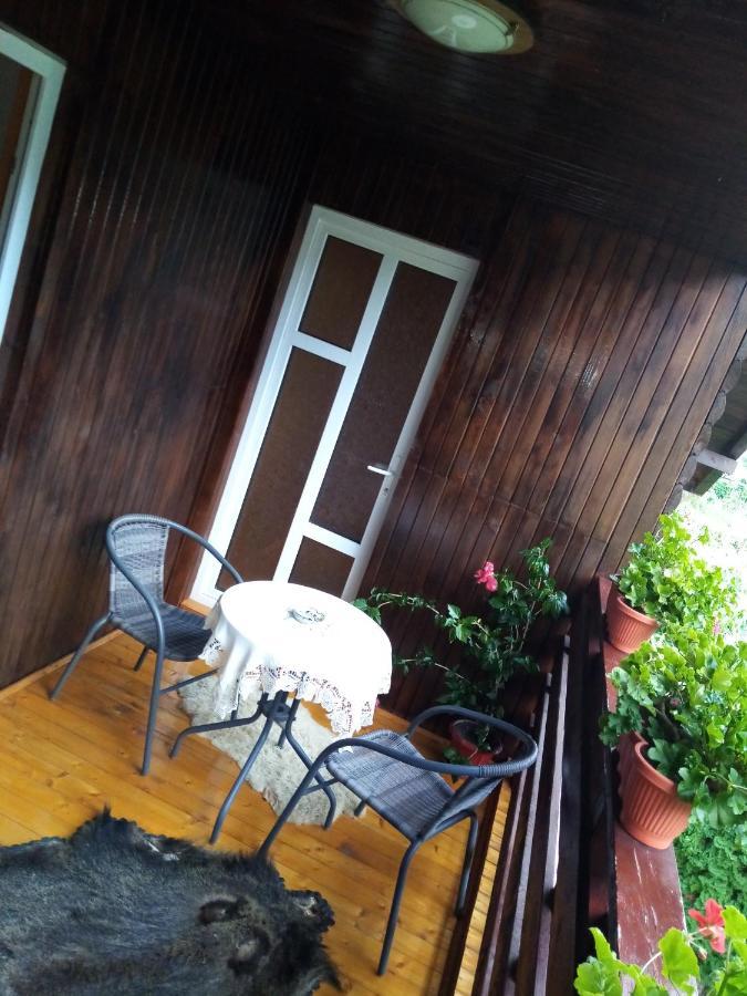 Casa Prundari Nicu Si Mirela Hotel Poiana Teiului ภายนอก รูปภาพ