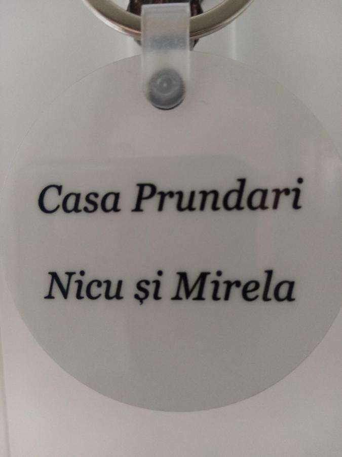 Casa Prundari Nicu Si Mirela Hotel Poiana Teiului ภายนอก รูปภาพ