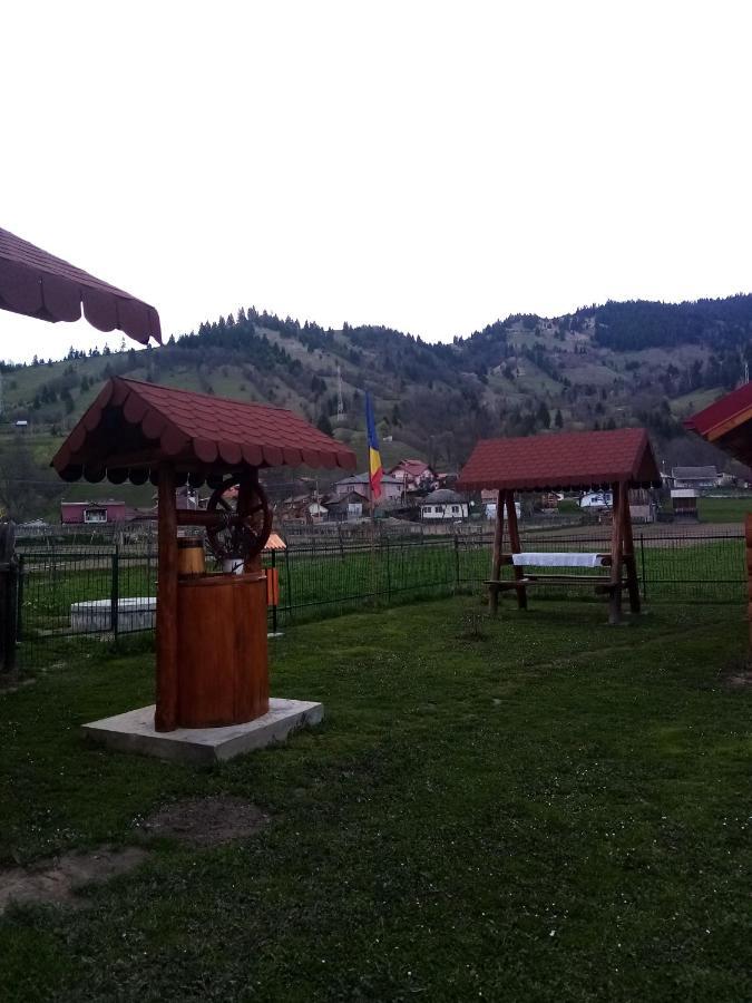 Casa Prundari Nicu Si Mirela Hotel Poiana Teiului ภายนอก รูปภาพ