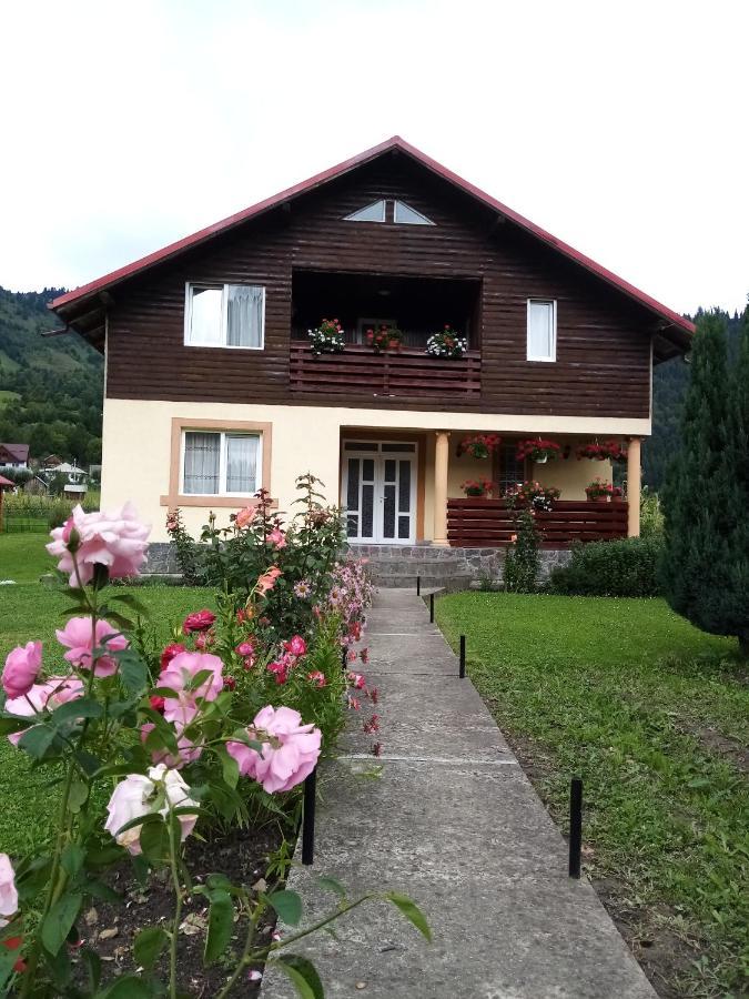 Casa Prundari Nicu Si Mirela Hotel Poiana Teiului ภายนอก รูปภาพ