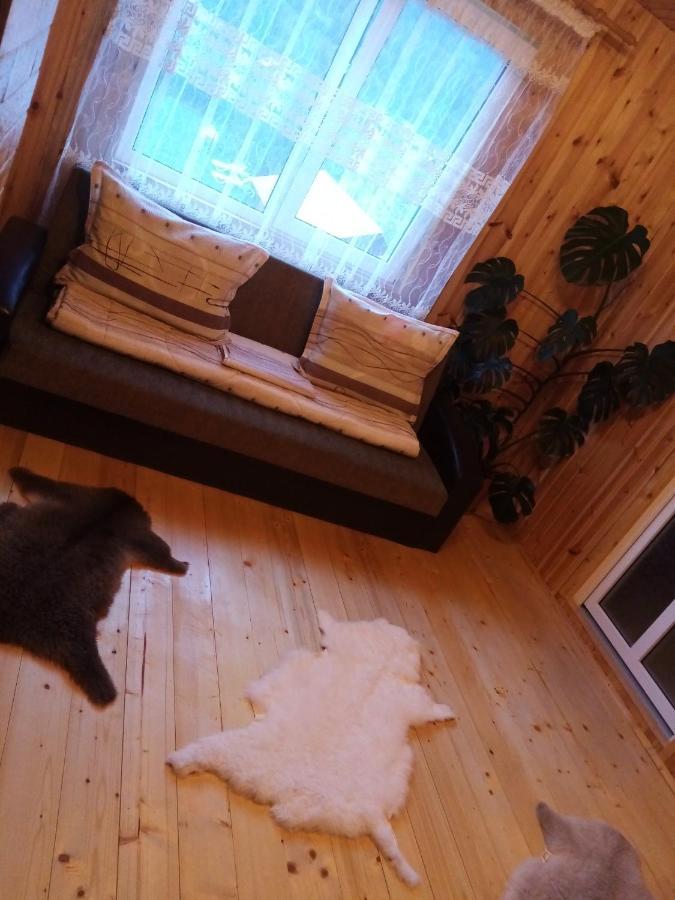 Casa Prundari Nicu Si Mirela Hotel Poiana Teiului ห้อง รูปภาพ