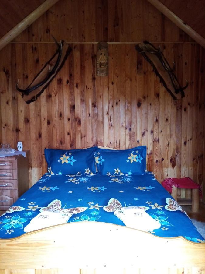 Casa Prundari Nicu Si Mirela Hotel Poiana Teiului ภายนอก รูปภาพ