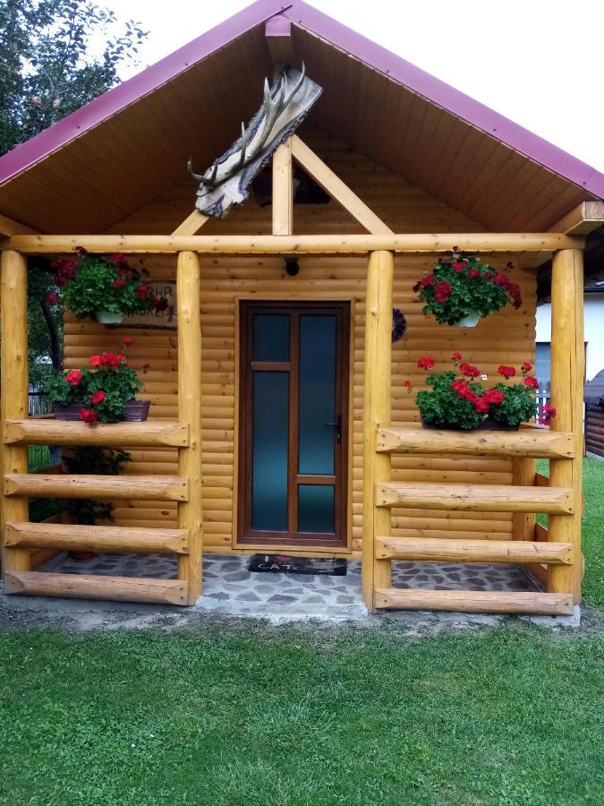 Casa Prundari Nicu Si Mirela Hotel Poiana Teiului ภายนอก รูปภาพ