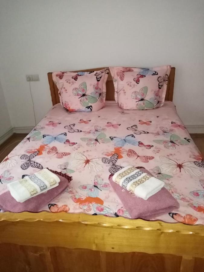 Casa Prundari Nicu Si Mirela Hotel Poiana Teiului ภายนอก รูปภาพ