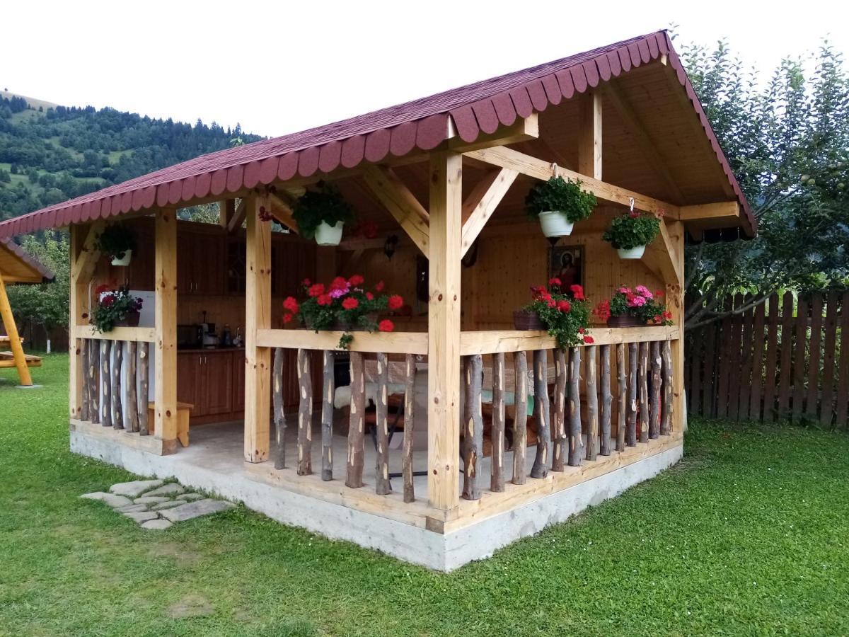 Casa Prundari Nicu Si Mirela Hotel Poiana Teiului ภายนอก รูปภาพ