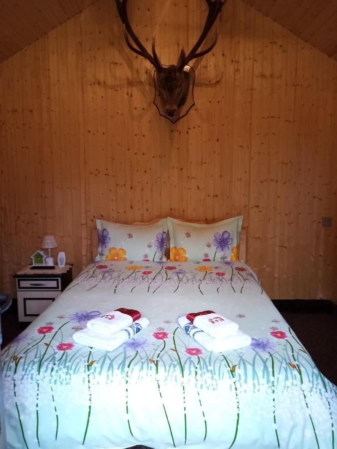 Casa Prundari Nicu Si Mirela Hotel Poiana Teiului ภายนอก รูปภาพ