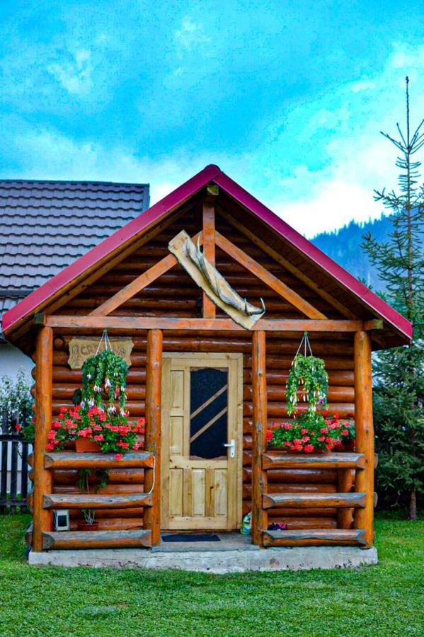 Casa Prundari Nicu Si Mirela Hotel Poiana Teiului ภายนอก รูปภาพ