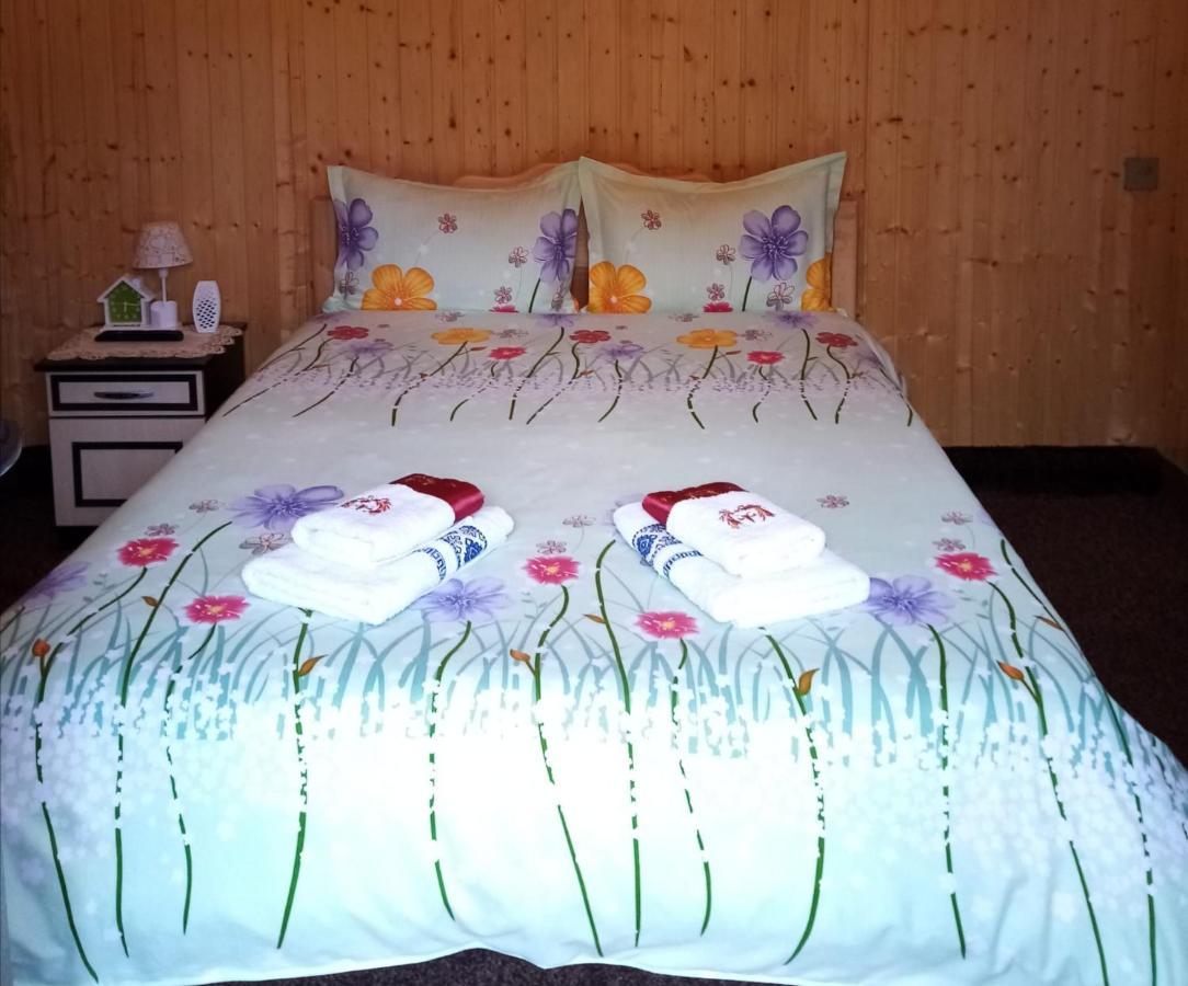 Casa Prundari Nicu Si Mirela Hotel Poiana Teiului ภายนอก รูปภาพ