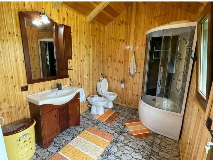 Casa Prundari Nicu Si Mirela Hotel Poiana Teiului ห้อง รูปภาพ