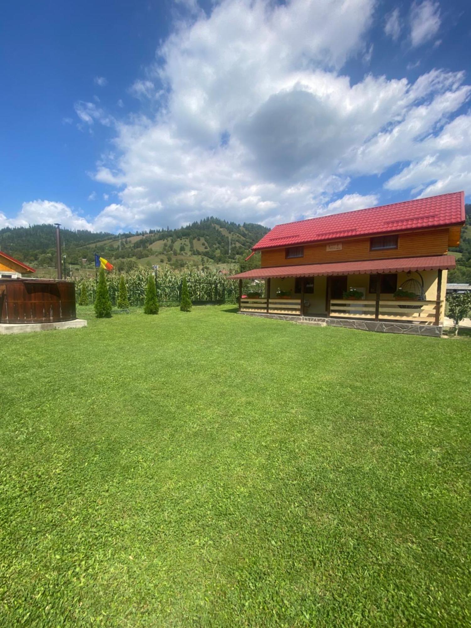 Casa Prundari Nicu Si Mirela Hotel Poiana Teiului ภายนอก รูปภาพ