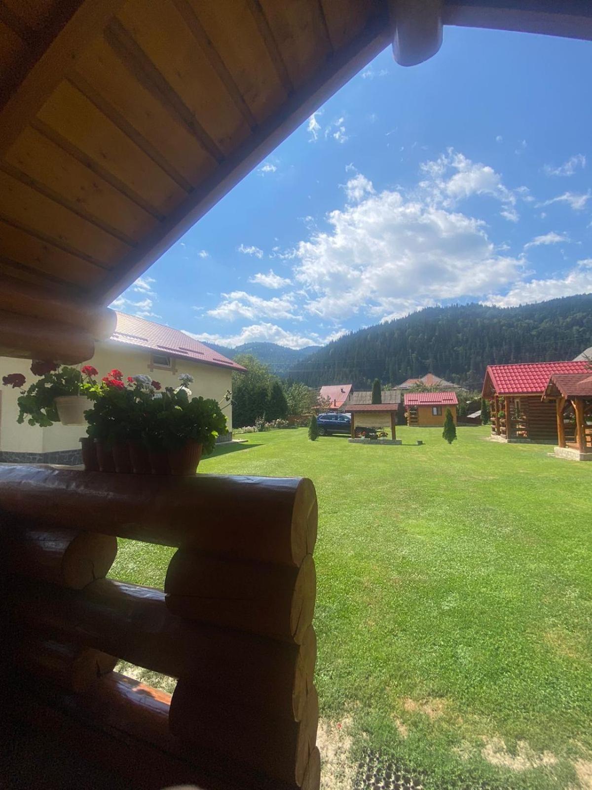 Casa Prundari Nicu Si Mirela Hotel Poiana Teiului ภายนอก รูปภาพ