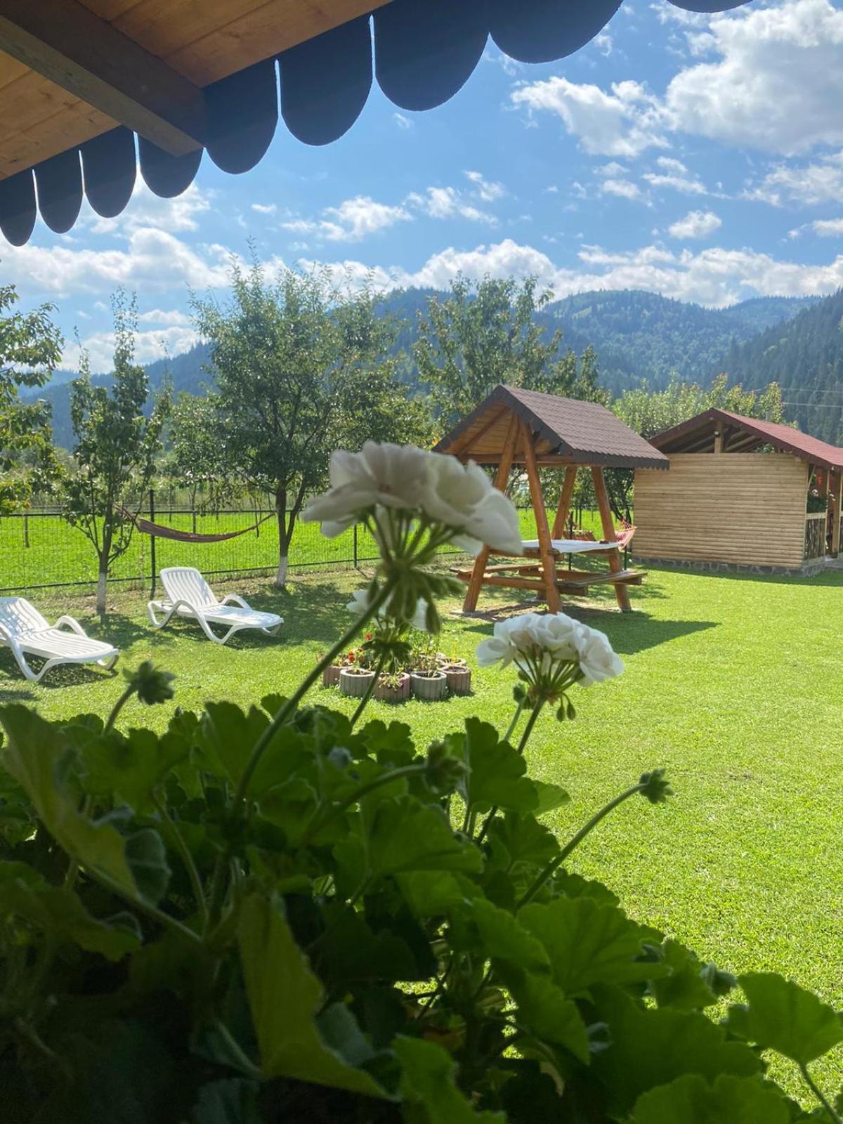 Casa Prundari Nicu Si Mirela Hotel Poiana Teiului ภายนอก รูปภาพ