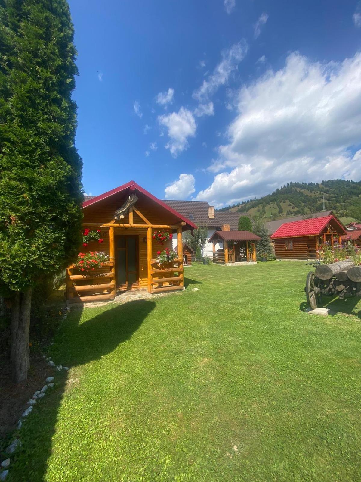 Casa Prundari Nicu Si Mirela Hotel Poiana Teiului ภายนอก รูปภาพ